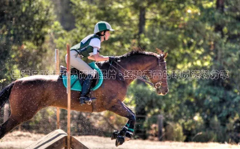 辉达娱乐下载官网极氪智能科技吕洋足球运动员简历照片 - 经验丰富的球员资料分享