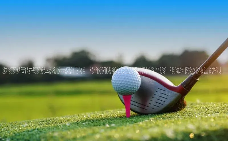 辉达App登录入口百度人工翻译冰球与足球运动量对比：谁消耗的更多卡路里？详细数据揭秘！
