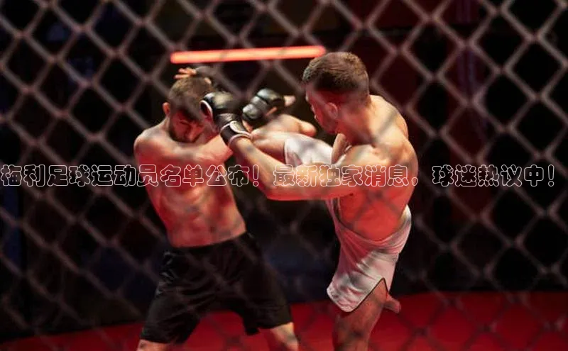 辉达娱乐下载官网观星盘梅利足球运动员名单公布！最新独家消息，球迷热议中！