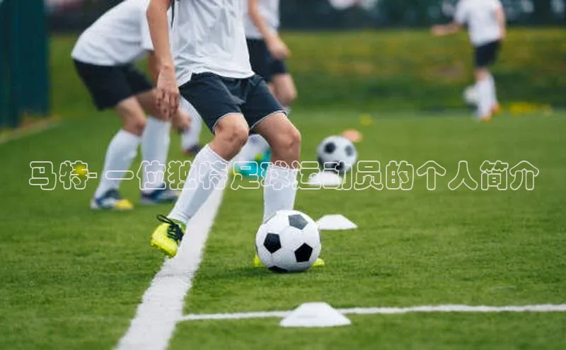 辉达注册账号入口颐驰 06马特- 一位独特足球运动员的个人简介