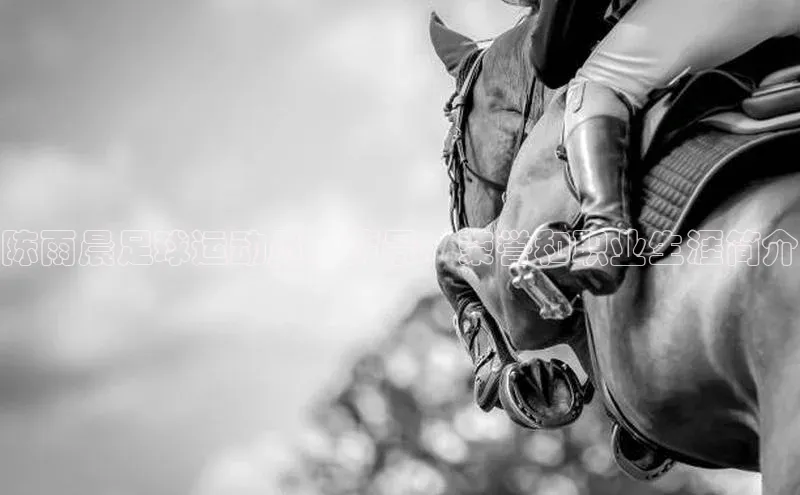辉达平台注册账号入口百度手机卫士陈雨晨足球运动员：背景、荣誉和职业生涯简介