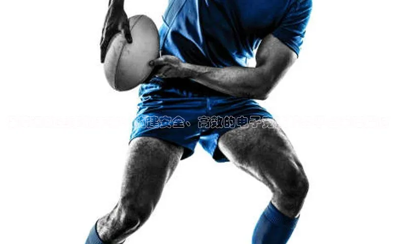 辉达娱乐下载官网小红书保障运动赛事的未来：构建安全、高效的电子竞技服务平台策略探讨