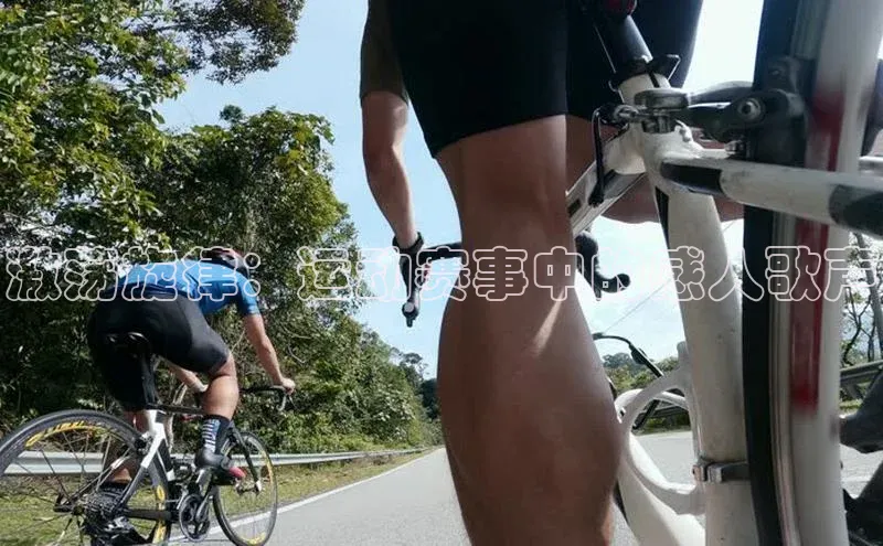 激荡旋律：运动赛事中的感人歌声