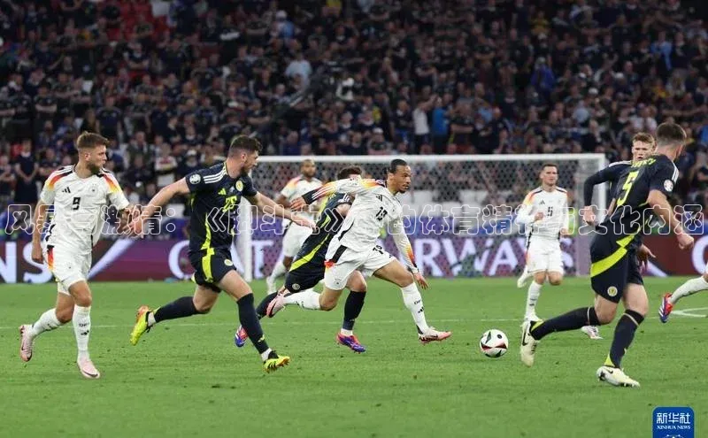 风暴与激情：《脚斗士》中的体育精神与文化内涵