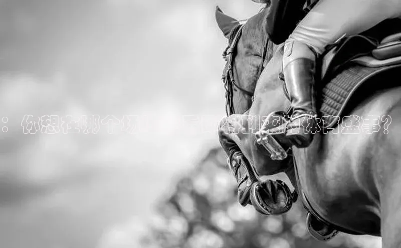 ：你想在哪个场地观看即将到来的体育盛事？