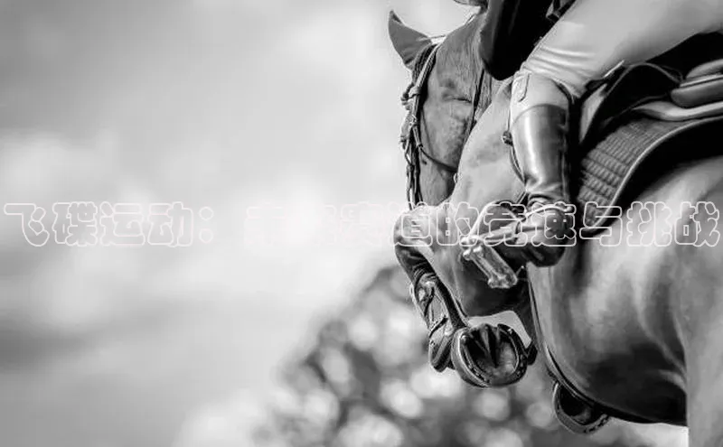 飞碟运动：未来赛道的竞速与挑战