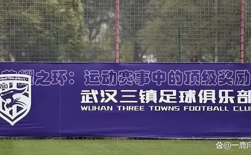 荣耀之环：运动赛事中的顶级奖励