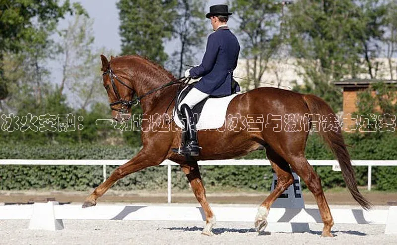 冰火交融：一场跨越南北的冰雪与激情赛事盛宴