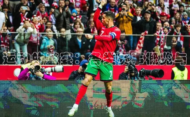 运动的盛宴：各类赛事概览与