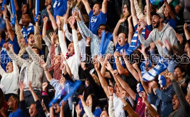 精彩瞬间：休闲运动赛事的照片与图片大全