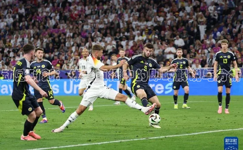 动感时刻：体育直播中的即时解说与分析