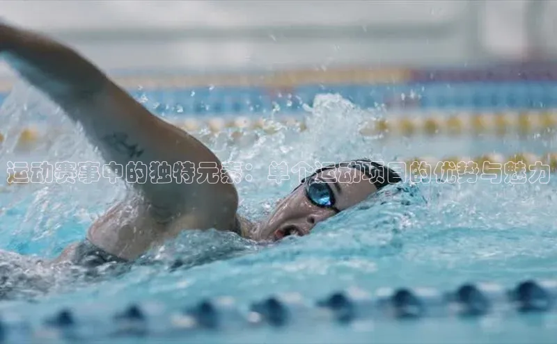 辉达注册官网入口