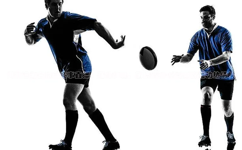 湖北运动会精彩赛事直播：强健体魄，团结精神-点亮你的运动热情！