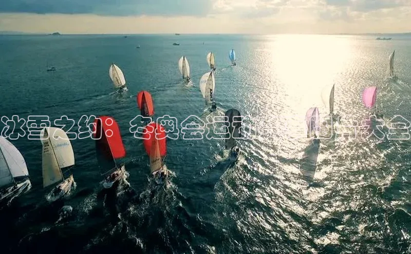 辉达app官方下载