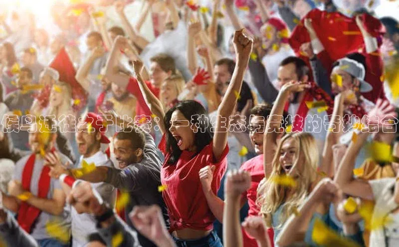 辉达娱乐下载官网