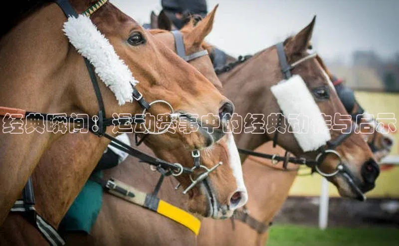 辉达娱乐注册平台