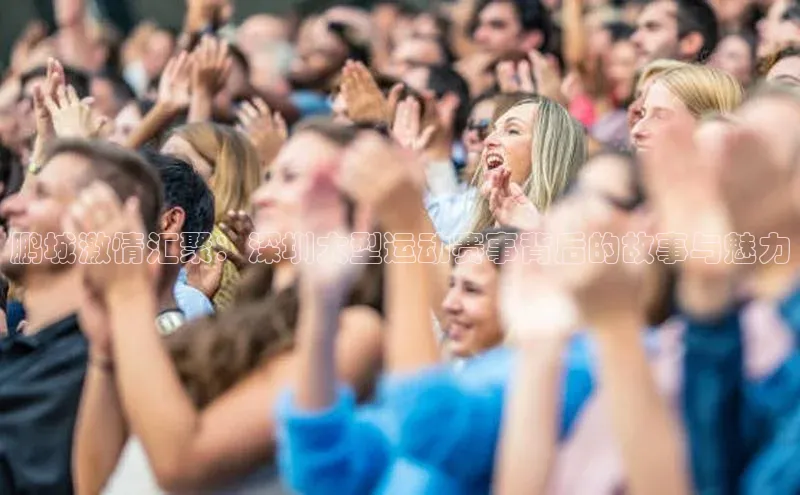 辉达平台登录入口