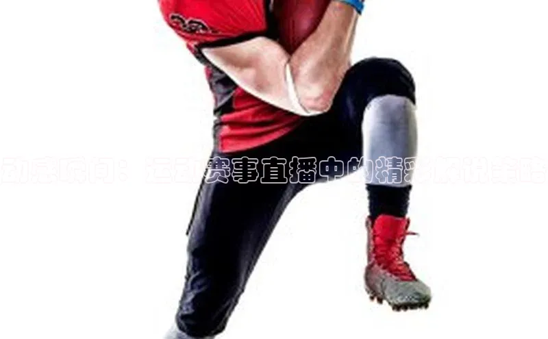 辉达娱乐app下载安装